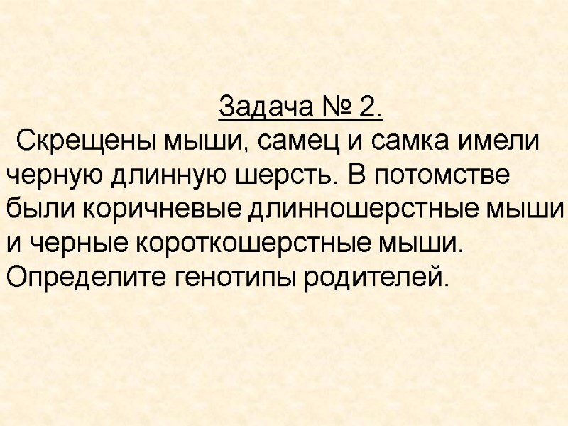 Задача № 2. Скрещены мыши, самец и самка имели черную длинную шерсть. В потомстве